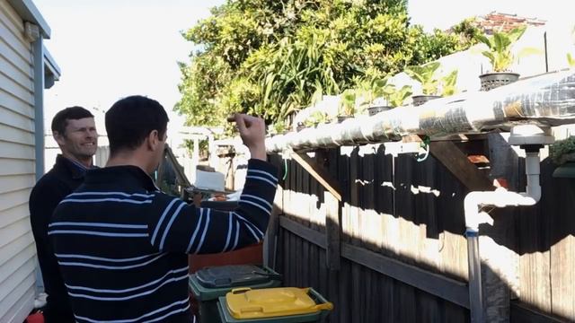 backyard aquaponics producing one meal per day смотреть онлайн