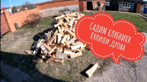 Садим клубнику. Купили дрова #садимклубнику #дрова #огород