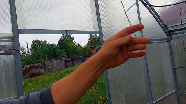 Выращивание огурца от А до Я. Формирование и подвязование !!! смотреть онлайн