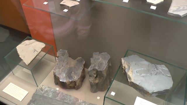 Музей пермских древностей в Перми. Пермские ящеры и мамонт.