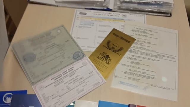 Готовимся к появлению щенка в доме Разбираемся в вопросе собачих документов смотреть онлайн