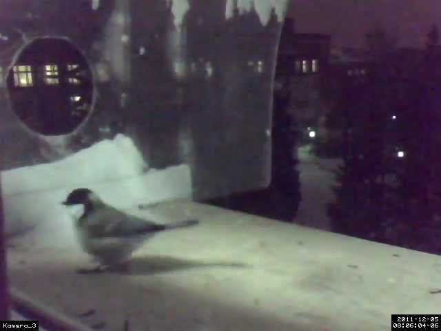 08_06_02.avi