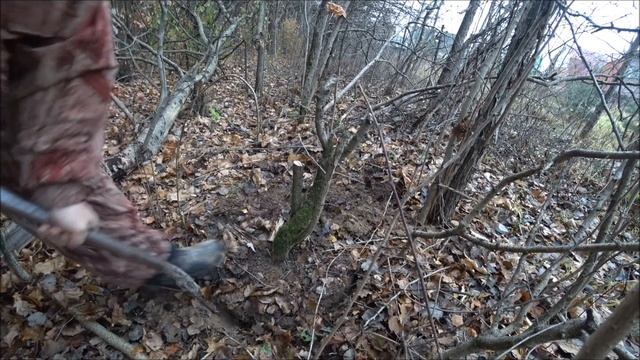 Поиск и выкопка ямадори, деревьев для будущих бонсай. смотреть онлайн