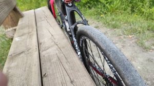Continental Contact Speed