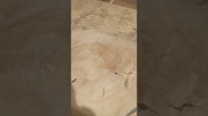 супер стол из торцевых спилов березы!