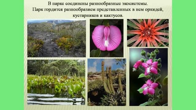 Национальные парки Южной Америки