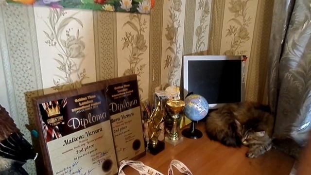 Вся правда о фестивалях Golden Time в одном видео. Реальный отзыв Варвары Мальковой
