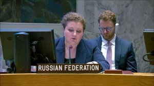 Statement by Deputy Permanent Representative Anna Evstigneeva at UNSC briefing on the situation in C