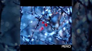 Без тебя я не могу????