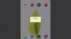 Delete Apps On iPad 2016