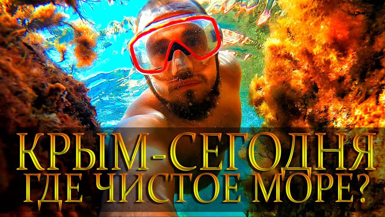 КРЫМ - ГДЕ САМОЕ ЧИСТОЕ МОРЕ.