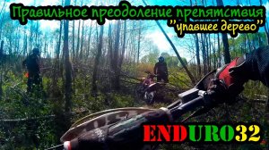 Правильное преодоление упавшего дерева на эндуро мотоцикле | Fallen tree on an enduro motorcycle