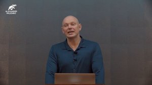 Договор с предками. Александр Палиенко.