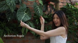 Plant Shopping Spree: Rare vs Common Plants (is this plant worth my kidney??) ft. @onlyplants