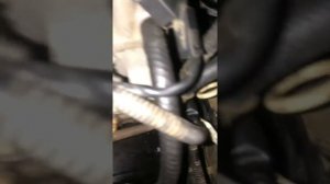 Стук двигателя 6G74  IMP Mitsubishi Montero |||