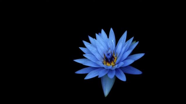 Хуанова грамота : внятно о карте и ландшафтах смотреть онлайн