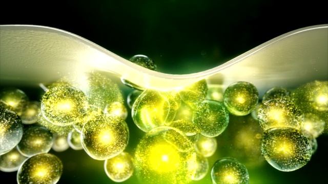 PL_Creme_30''_16x9_20.04.2015_DV-PAL_LFF.avi смотреть онлайн