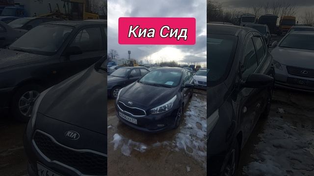 Авторынок. Киа Сид
#киасид #авторынок #цены