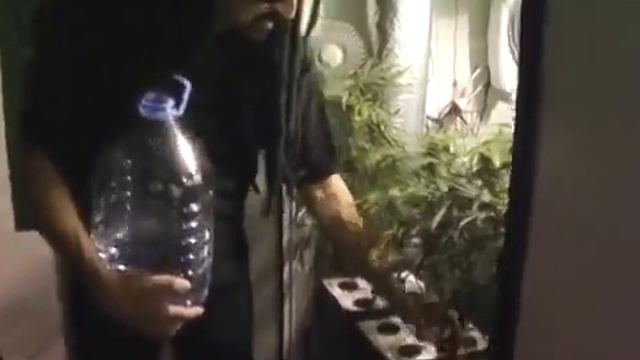 Jorge Cervantes Ultimate Grow Dvd 2 смотреть онлайн