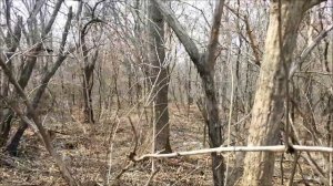 ОСТРОВ РУССКИЙ ПРИБОРНЫЙ ПОИСК №2