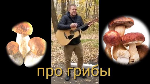 Мужская песня про отдых