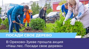 В Орехово-Зуеве прошла акция «Наш лес. Посади свое дерево»