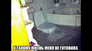 Мемы 2022