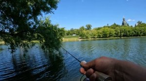 Мормышнг ! JS Company Bixod N Stream S451 XXUL первое знакомство ! Ловля Карася !