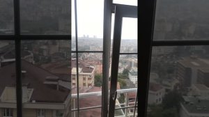 Приключение в Стамбуле: гости с четвероногим другом! 🐾🌆