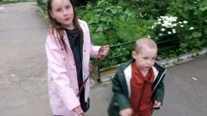 ПЕРВЫЙ раз гуляю с собакой КУПИЛИ ошейник и поводок ЧТО не понравилось Джеку Влог  / Ульяна Синема