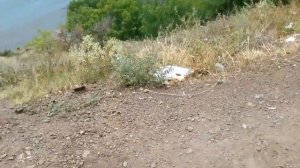Малореченское. Отдых в Крыму.ОТДЫХ ДИКАРЕМ В ПАЛАТКЕ.Крым отдых 2019.