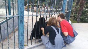 Крым. Ялта- Интурист. Шимпанзе.