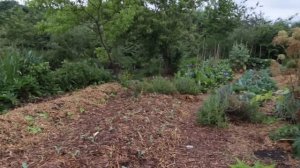 Miraculous Abundance at La Ferme du Bec Hellouin