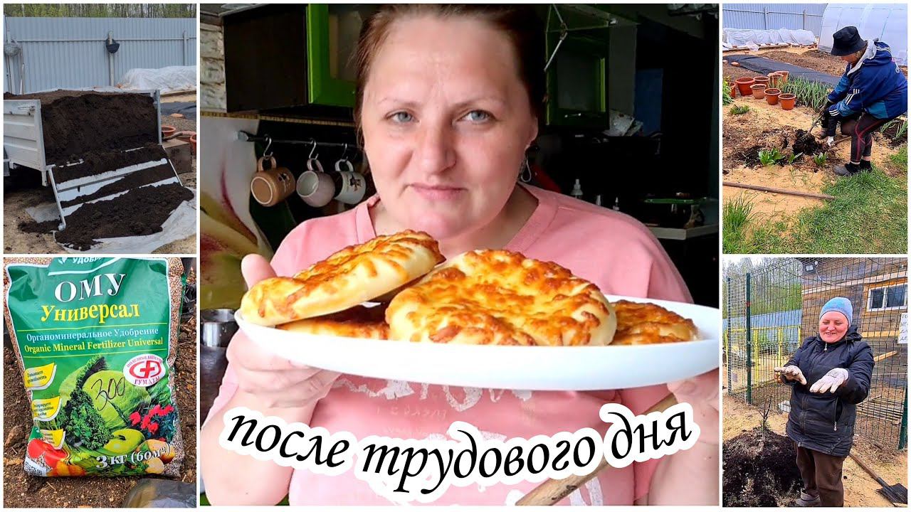 Пересадка яблони. Обработка кустарников. Огородные хлопоты. Жизнь в деревне
