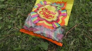 Йорк гуляет на улице. Пробует кислый мармелад ЧУПА-ЧУПС