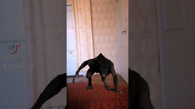 ВОЛК смотреть онлайн