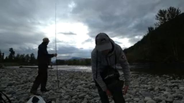 Разведка лососевых мест. Рыбалка на красную икру. Fishing in Vedder river. Chilliwack. смотреть онлайн