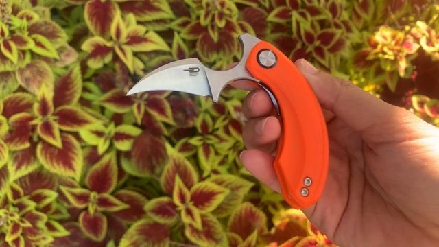 Love Budget EDC Knife Bestech Strelit смотреть онлайн