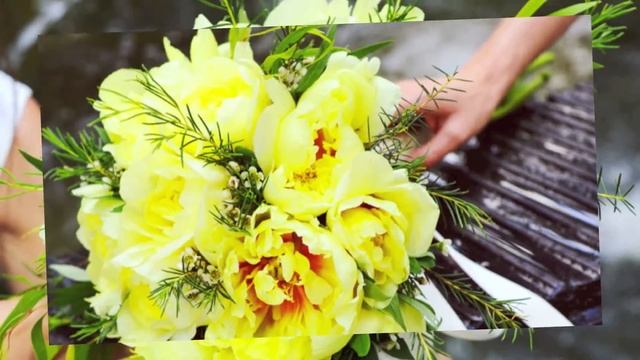 Fan Fan Tulpan New Project 1 смотреть онлайн