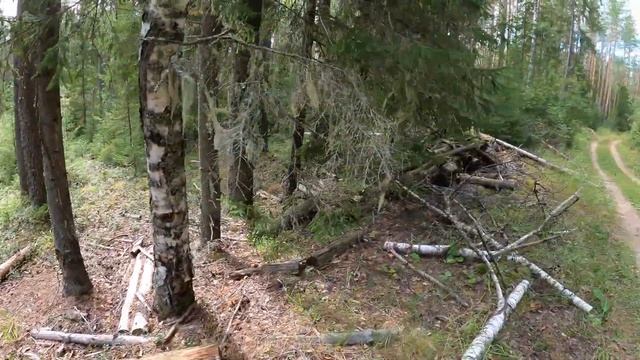 КРЫША ПОСЛЕ УРАГАНА # ремонт # про жили-были #ДЕРЕВЕНСКИЕ БУДНИ 26 # р СУХОНА КАРАБЛИ ДОБЫЧА ПЕСКА смотреть онлайн