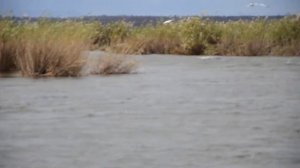 Прогулка между островов на реке Замбези