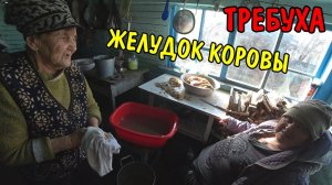 БАБУШКА ДЕЛАЕТ ТРЕБУХУ / ПРОВЕЛ СВЕТ В БАНЕ / ЗАБИЛ ОКНО НА КУХНЕ / БАБУШКА ЛЕПИТ ДОМАШНИЕ ПЕЛЬМЕНИ