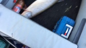 Трофейная щука рыбалка в томской области озеро монатка