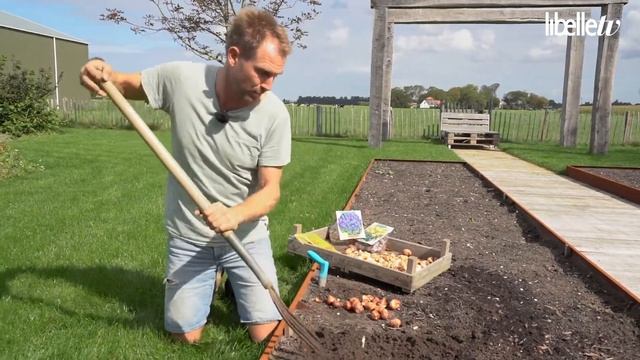Een mooie voorjaarstuin betekent nú bloembollen planten смотреть онлайн