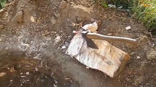 16 10 25 Видео Корчевание пня на придомовой территории смотреть онлайн