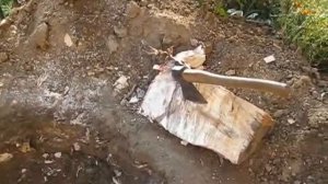 16 10 25 Видео Корчевание пня на придомовой территории
