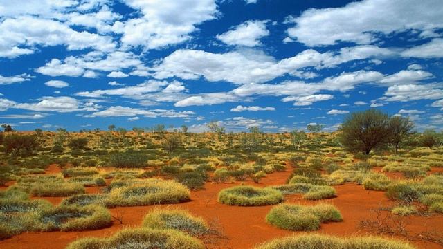 Сеанс саморегуляции и медитация тишины / Self-Regulation & Silent Meditation 26.1.19 смотреть онлайн