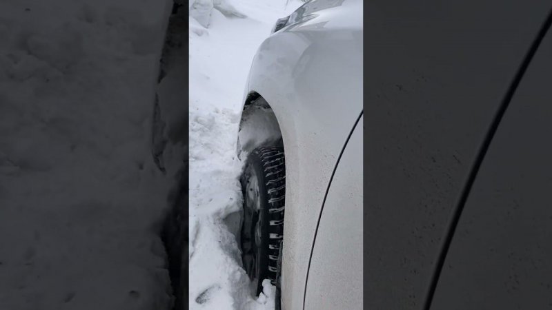 Застрял на ПРАДО во дворе, порвали пару веревок