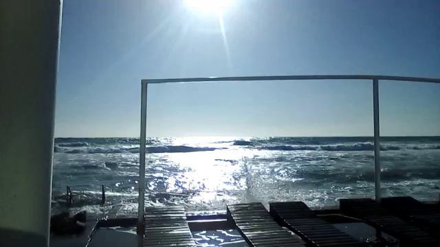 Анапа. Пёс Боцман- ловец волн. Пляж "Малая бухта".