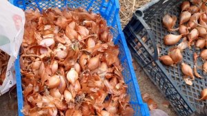 Сезон открыт/Вот что значит Крым/Начинаем посадки